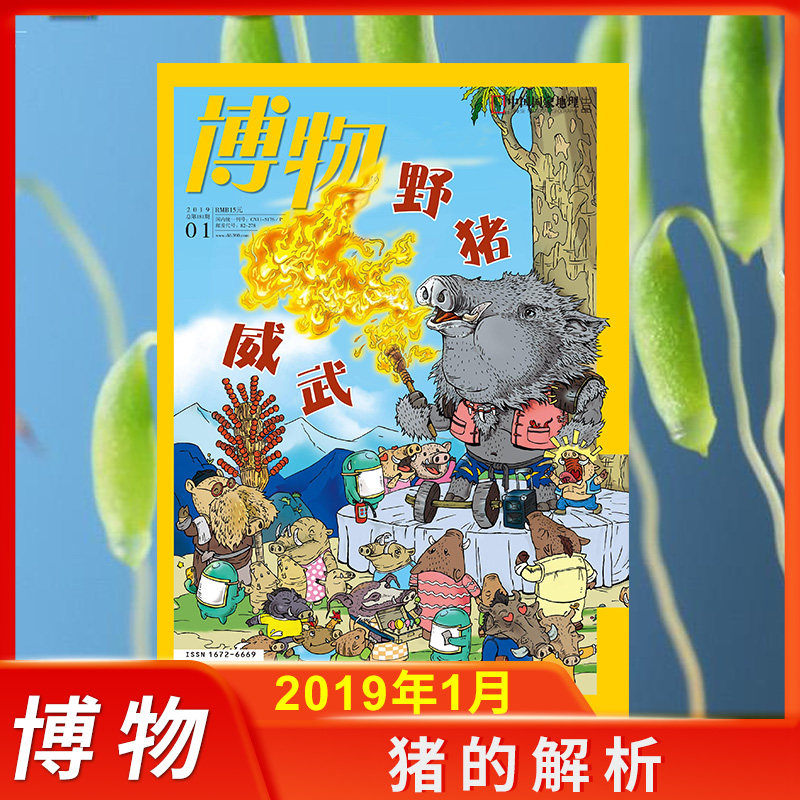 【剪角】博物杂志2019年1月（野猪威武）过期刊,书籍/杂志/报纸,期刊杂志,淘宝优惠券,粉丝福利购,淘宝优惠卷