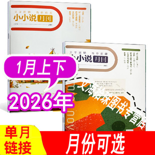 【全年套餐可选】小小说月刊杂志2026年1月/2025年1/2/3/4/5/6/7/8/9/10/11/12月+2024年等可选 小说故事过期刊短片微型文章小说类