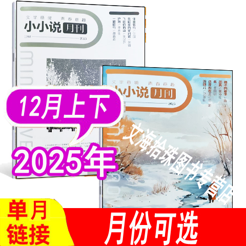 小小说月刊杂志2025年等