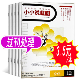 【共10本打包】小小说月刊杂志2025年7本+2024年2本+2023年1本【月份随机发 拍多件重复】文学小小说选刊过期刊非2026年全年订阅
