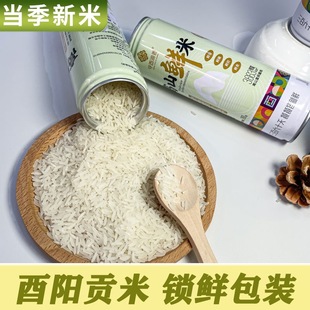 酉阳贡米灌装大米一级260g/罐礼盒装当季新米高山梯田大米