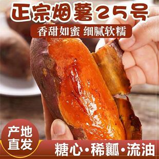 东北瓦房店闫店地瓜烟薯25蜜薯新鲜红薯红苕番薯红心稀瓤8斤包邮