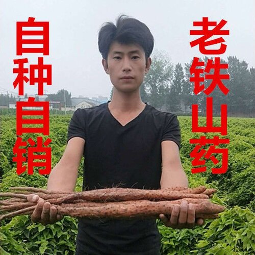 铁棍山药垆土铁棍山药新鲜正宗河南焦作温县5斤淮怀山药铁杆老铁 - 封面