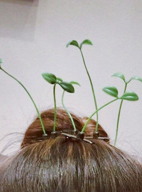 小草发夹气氛卖萌神器豆芽卡直播间道具搞怪创意头饰儿童头上长草