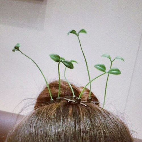 小草发夹头上长草女同款卖萌神器