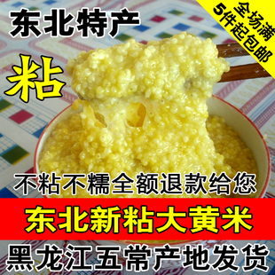 2025年新粮东北大黄米农家糯小米黏黄米黄糯米粽子粘豆包黄糕可用