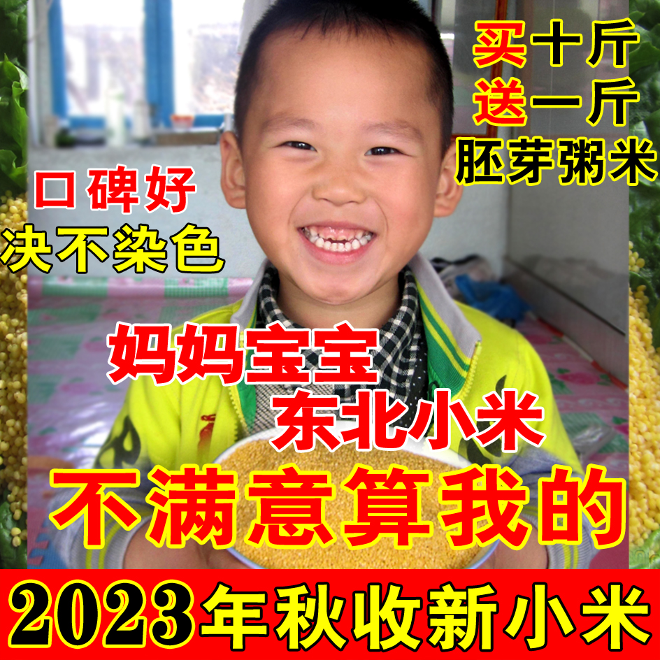 2023年东北小米月子米黄小米小黄米孕妇宝宝米粥米五谷杂粮500克