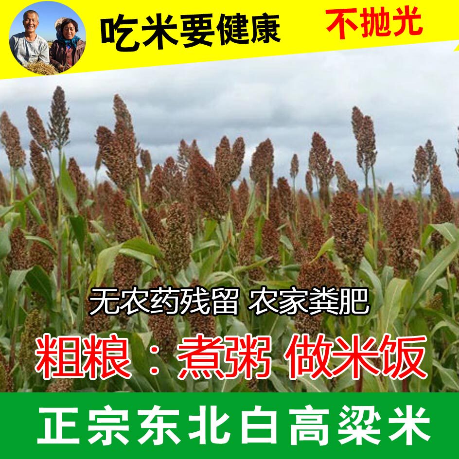 白高粱米粘高粱米农家粮