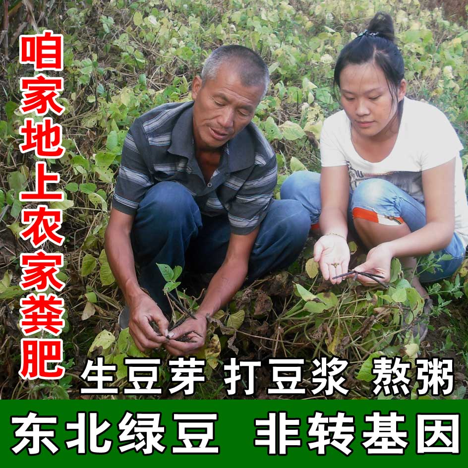 2025新粮东北绿豆新鲜农家绿豆可发芽五谷杂粮