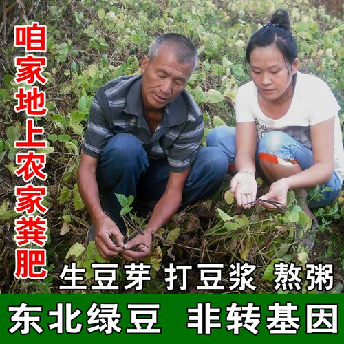 2025新粮东北绿豆新鲜农家绿豆可发芽五谷杂粮