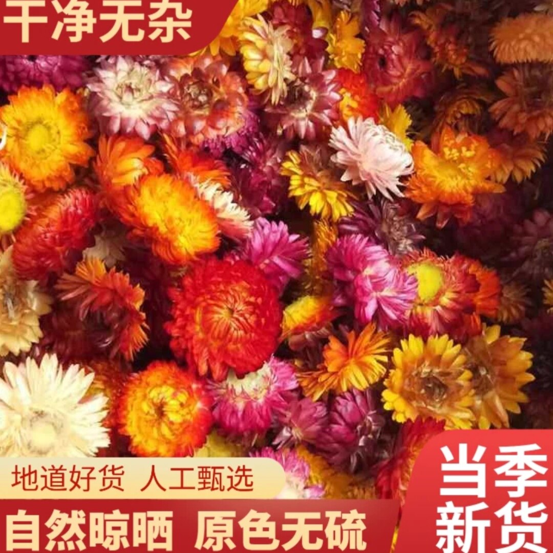正品云南特产山货七彩菊藏菊花七彩菊花茶藏区金盏花