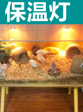 芦丁鸡保温灯鹌鹑取暖灯爬宠晒背灯鹦鹉保温灯宠物加热保温灯