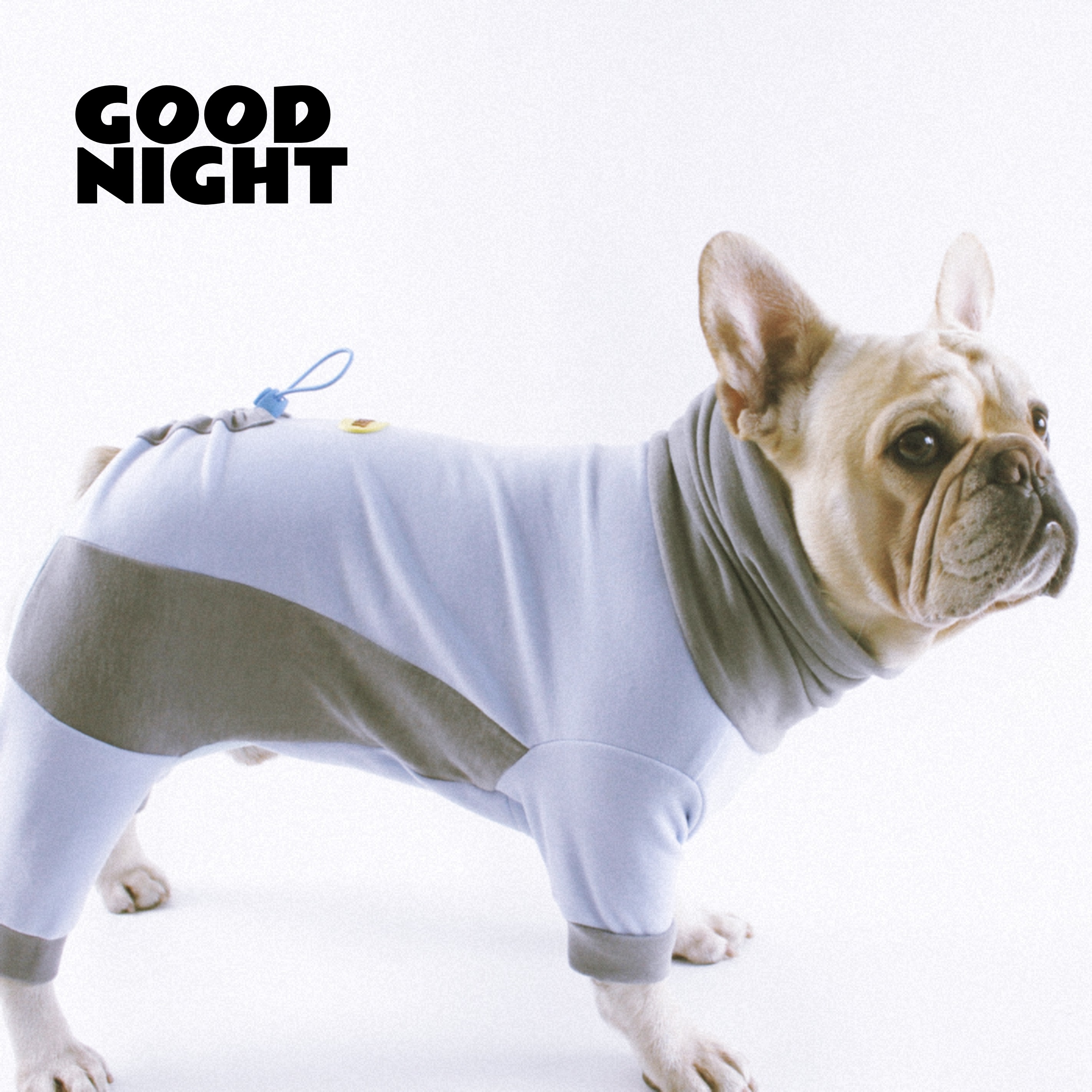 GOODNIGHT晚安法斗巴哥柯基法斗衣服秋冬狗狗衣服保暖加绒四脚衣