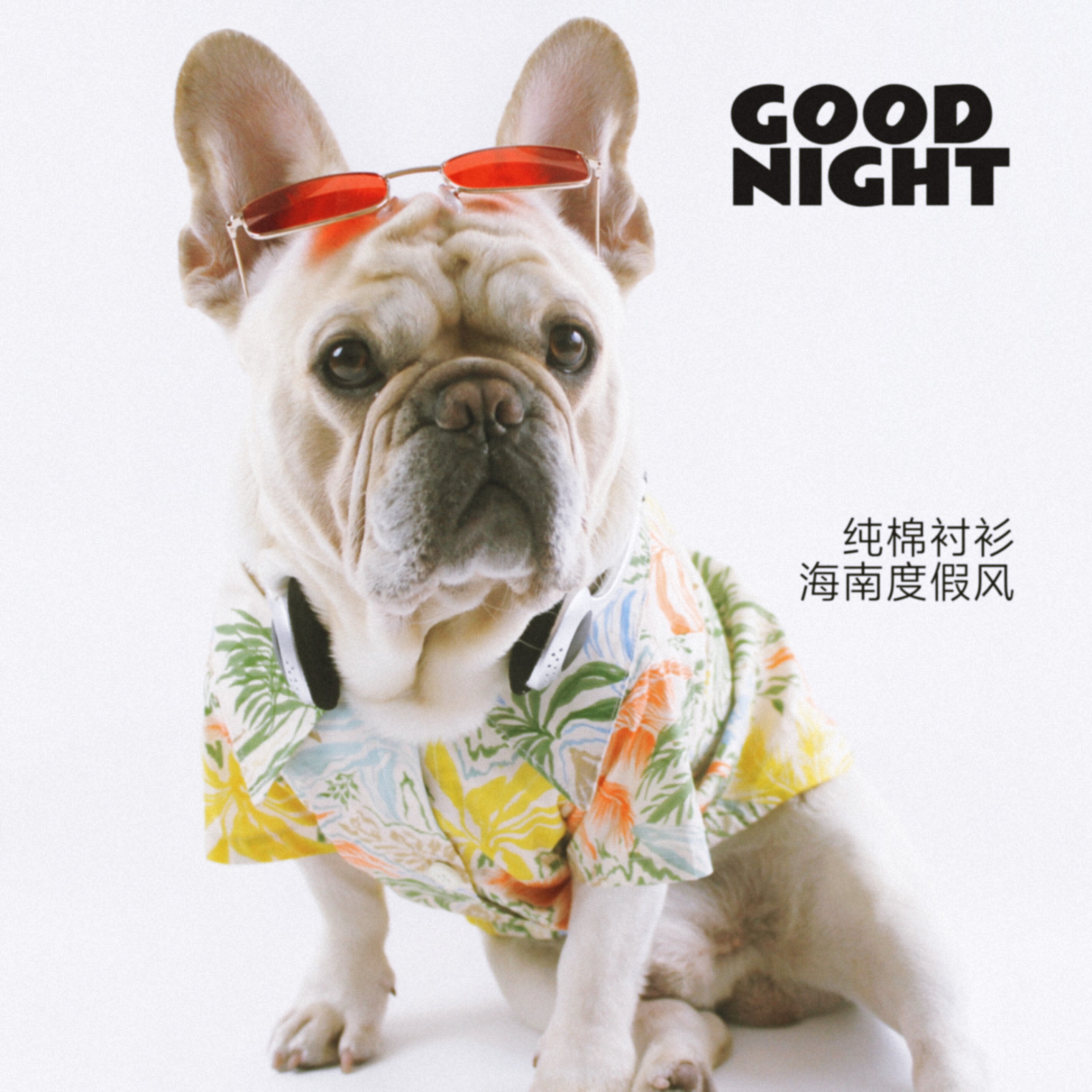 GOOD NIGHT晚安宠物衣服狗狗恶霸巴哥春夏装露营全棉衬衫法斗衣服