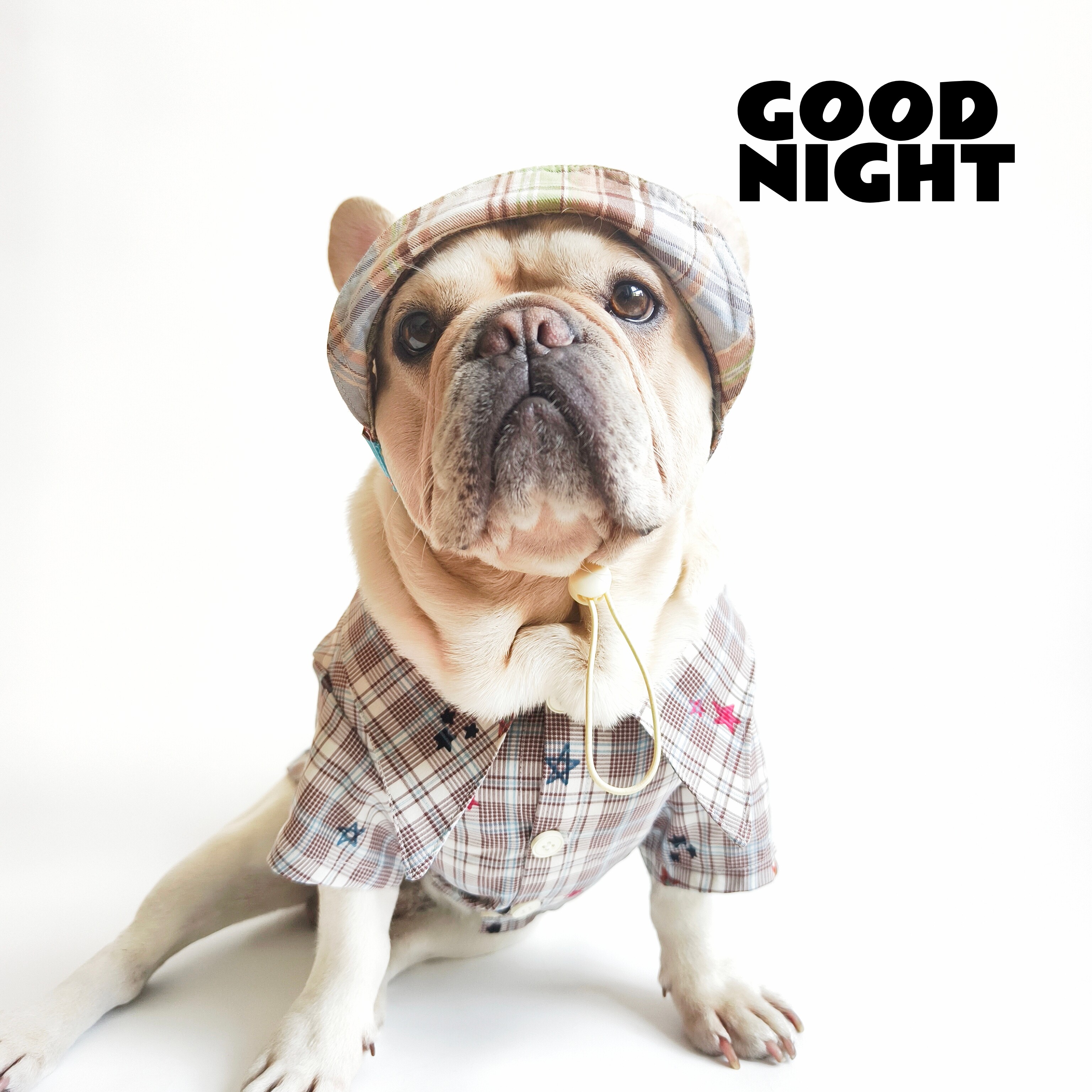 GOODNIGHT晚安法斗巴哥柯基春秋季法斗衣服狗狗衣服狗狗格子衬衣