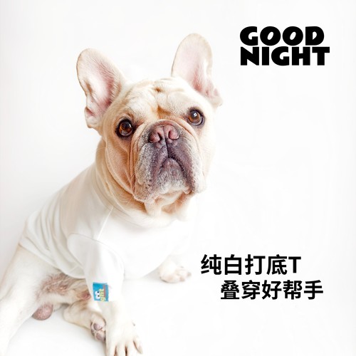 GOODNIGHT晚安法斗巴哥柯基法斗衣服秋冬白色打底衫狗狗衣服T恤
