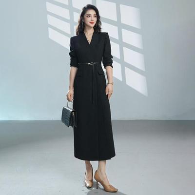正式场合气质连衣裙女2025秋季新款轻奢高级感显瘦职业装长款裙子