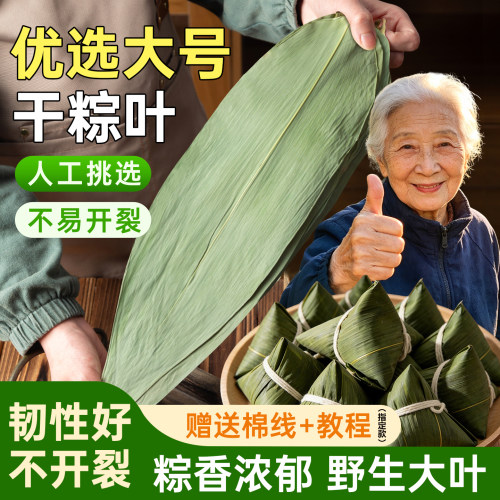 干粽叶粽子叶特大号新鲜包粽子竹叶商用野生箬叶端午材料家用批发