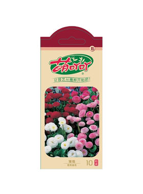 萌吖吖混色菊花种籽子雏菊洋甘菊