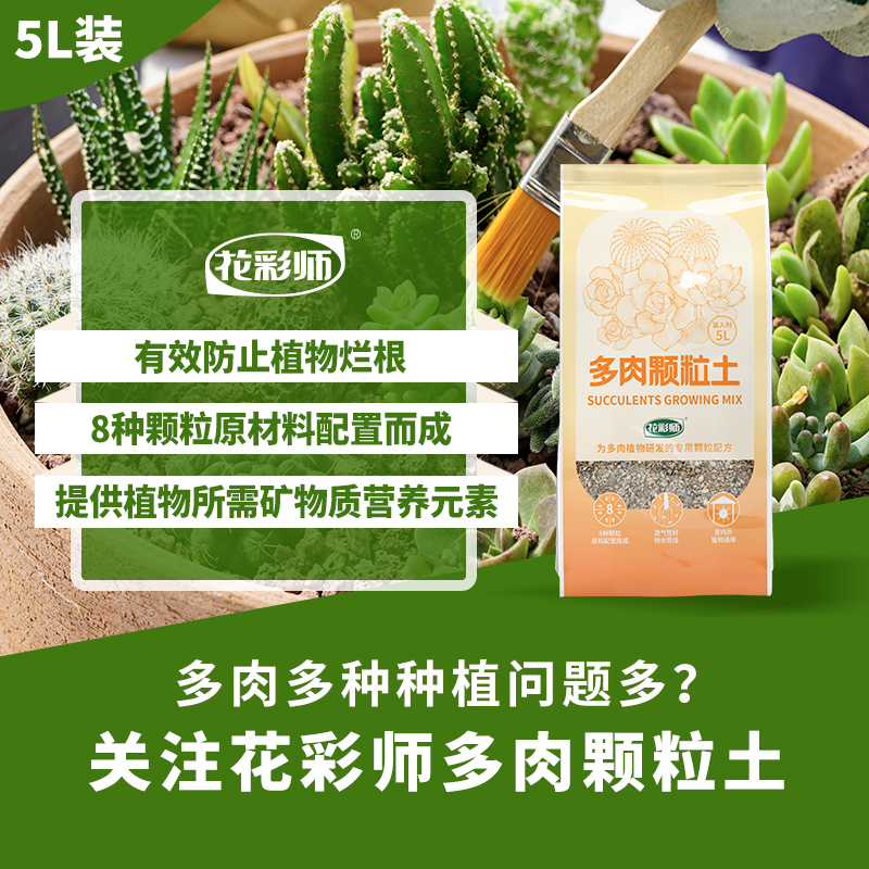 花彩专用土营养土虹越