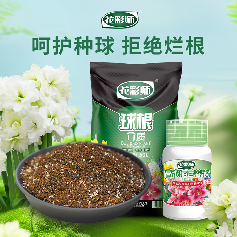 虹越花彩师球根营养土呵护种球图片