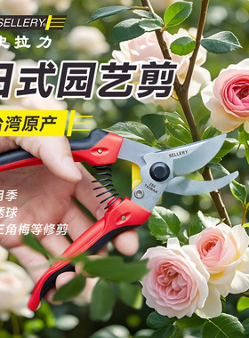 虹越史拉力剪刀66280园艺修枝叶芽剪芦苇月季绣球果树省力花艺剪