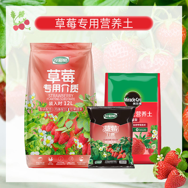 草莓专用营养土美乐棵家庭园艺介质花彩师花泥天然有机盆栽通用土