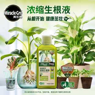 虹越美乐棵浓缩生根液植物通用移栽促进生根剂壮苗强力植物生根粉