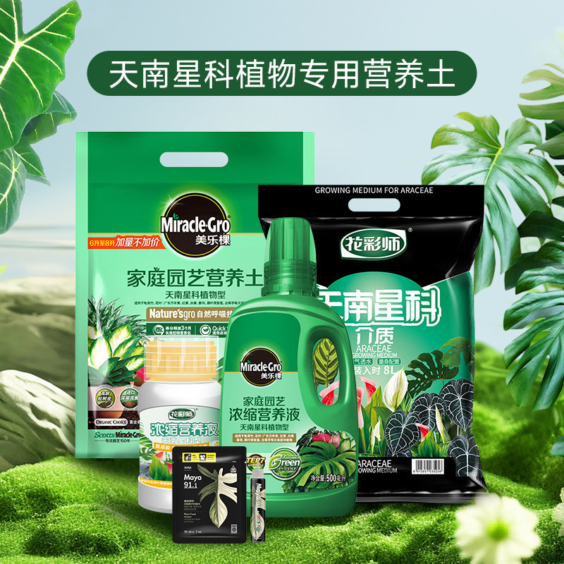 虹越天南星科植物专用土肥龟背竹红掌竹芋热植通用型营养土液体肥,鲜花速递/花卉仿真/绿植园艺,介质/营养土,淘宝优惠券,粉丝福利购,淘宝优惠卷