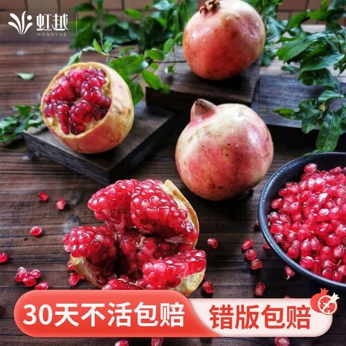 虹越石榴树苗庭院盆栽