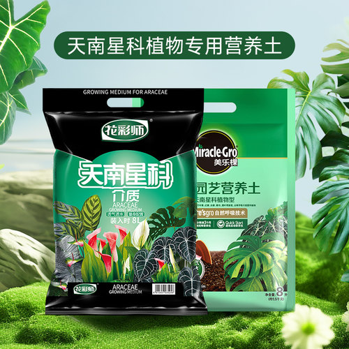虹越天南星植物专用营养土