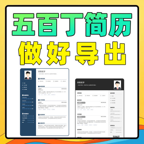 五百丁简历会员导出一次  500丁VIP会员模板做好代下载