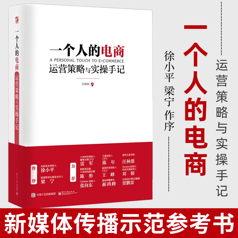 一个人的电商运营策略与实操手记许晓辉互联网企业转型 B2C品牌定位营销推广新媒体传播示范参考书实用教程书籍