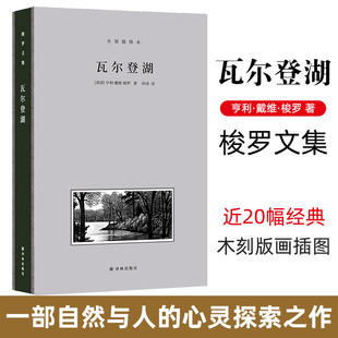 梭罗文集 正版 典藏本 画插图 一部自然与人 全手工布脊精装 收录近20幅经典 木刻版 瓦尔登湖 仲泽之译 心灵探索之作 现货