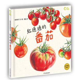 红通通的番茄/我爱蔬菜系列/麦田精选图画书绘本 3-6周岁植物蔬菜科普绘本岩佐祐子/幼儿启蒙认知图画故事书自然科普图画书故事书