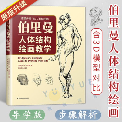 伯里曼人体结构绘画教学 3D模型理解人体形态 人体结构造型手绘技法艺用画手解剖构人物素描速写临摹基础入门书籍动漫画册美术教材