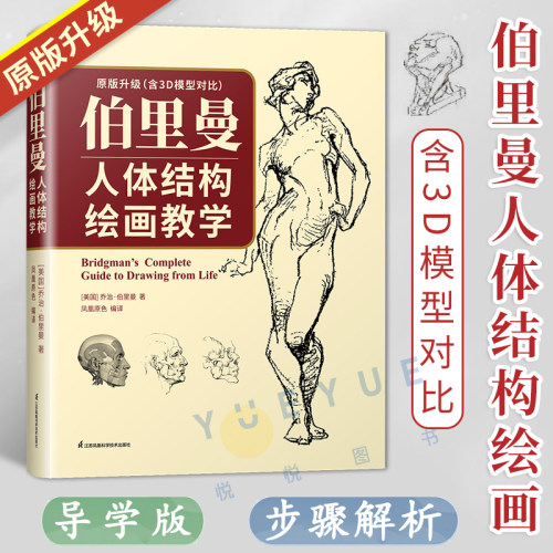 伯里曼人体结构绘画教学 3D模型理解人体形态 人体结构造型手绘技法艺用画手解剖构人物素描速写临摹基础入门书籍动漫画册美术教材