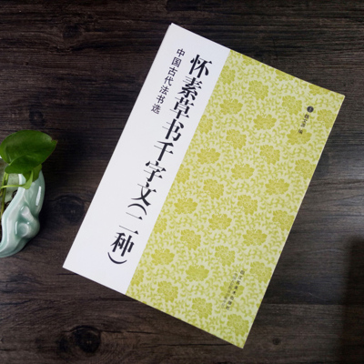 中国古代法书选 怀素草书千字文2 二种 历代经典碑帖 毛笔书法练字帖书籍 软笔碑帖临摹 释文解析 简体旁注 魏文源 江苏美术出版社