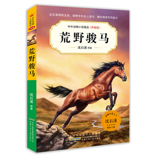 14岁儿童文学励志动物成长故事 荒野骏马 少年儿童阅读图书 沈石溪中外动物小说精品升级版 三四五六年级小学生课外阅读书籍