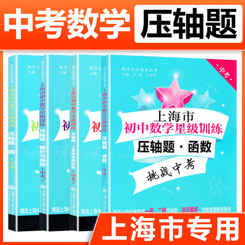 初中数学星级训练压轴题中考