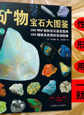 矿物宝石大图鉴 200种矿物宝石鉴赏图典 矿物与宝石的知识和图鉴宝石收藏爱好者的书籍珍稀矿石物图谱实用寻宝图鉴 煤炭工业出版社