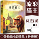 三四五六年级小学生课外阅读书籍 少年儿童阅读图书 流浪猫王 14岁儿童文学励志动物成长故事 沈石溪中外动物小说精品升级版