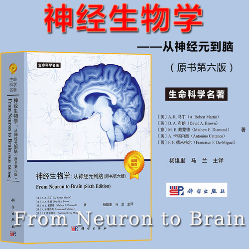 神经生物学 从神经元到脑 原书第六版中文版 尼克尔斯尼著 杨雄里译 科学出版社 生命科学名著 From Neuron to Brain/Nicholls