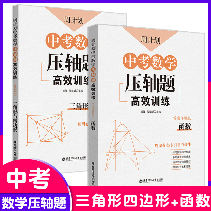 周计划中考数学压轴题高效训练函数+三角形与四边形 备考2020附详解答案与解析 九年级初中数学专项专题知识大全 刘弢吕春昕五三