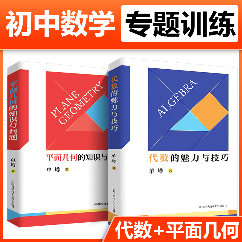 中科大初中数学代数的魅力与技巧+平面几何的知识与问题 单墫 初一初二初三初中数学解题规律方法与技巧789年级2021中考数学刷题