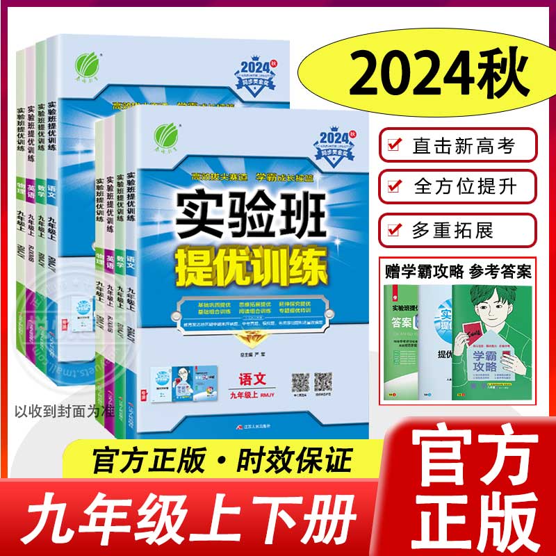 2025实验班提优训练九年级2024秋