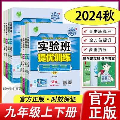 2025实验班提优训练九年级2024秋