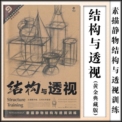 结构与透视 9素描静物结构与透视训练 黄金典藏版 绘画技法结构联考校考临摹范本画册学生初学入门基础教程书籍美术教材素描速写书