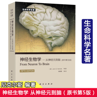 神经生物学从神经元到脑 原书第五版 意 尼克尔斯尼 杨雄里译 生命科学 生物学心理学和医学参考书教辅书籍神经细胞科学基础