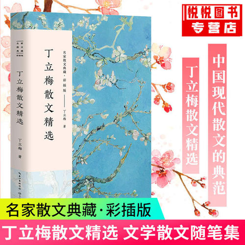 丁立梅散文集正版经典精选小说